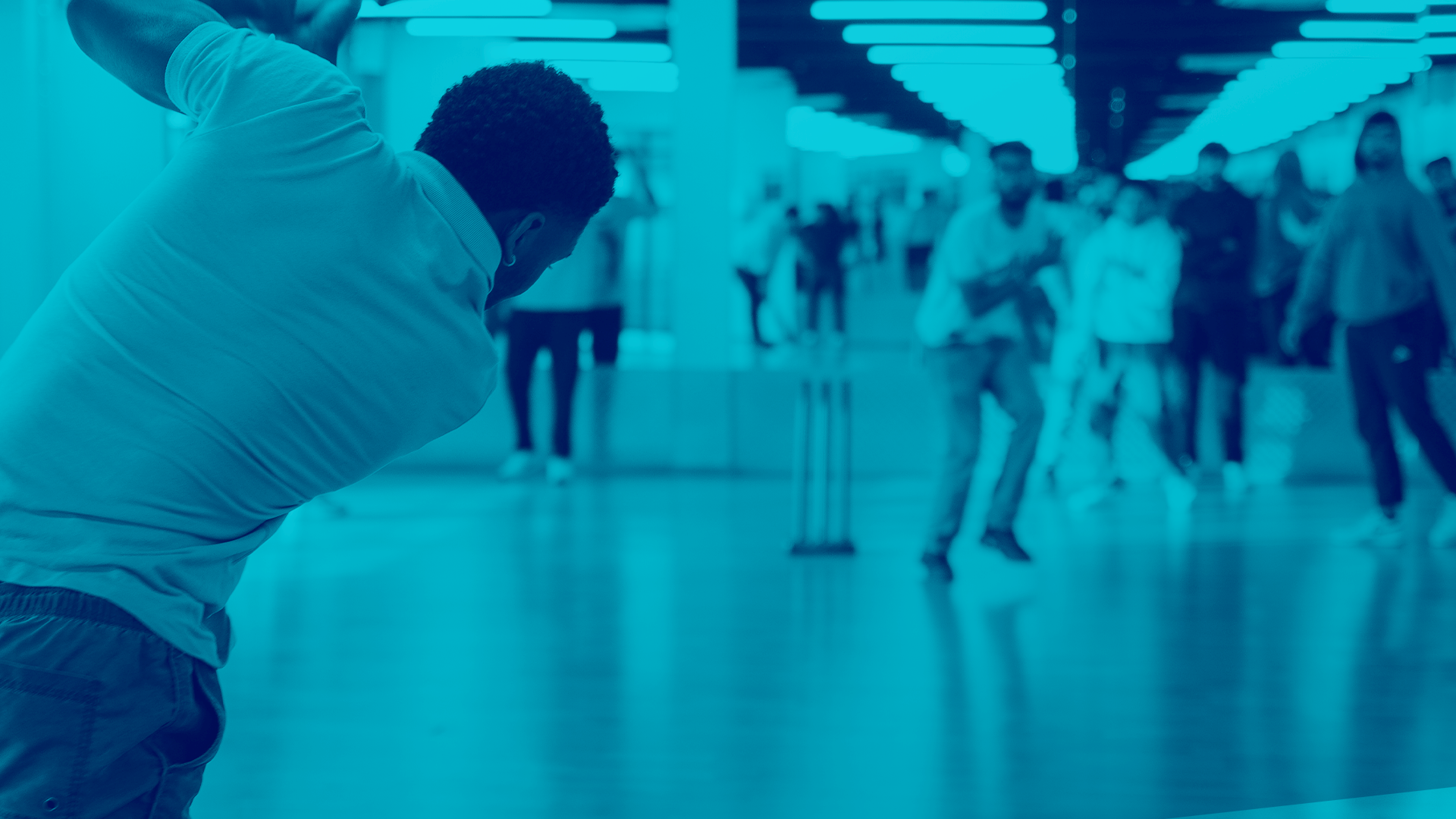 people playing cricket