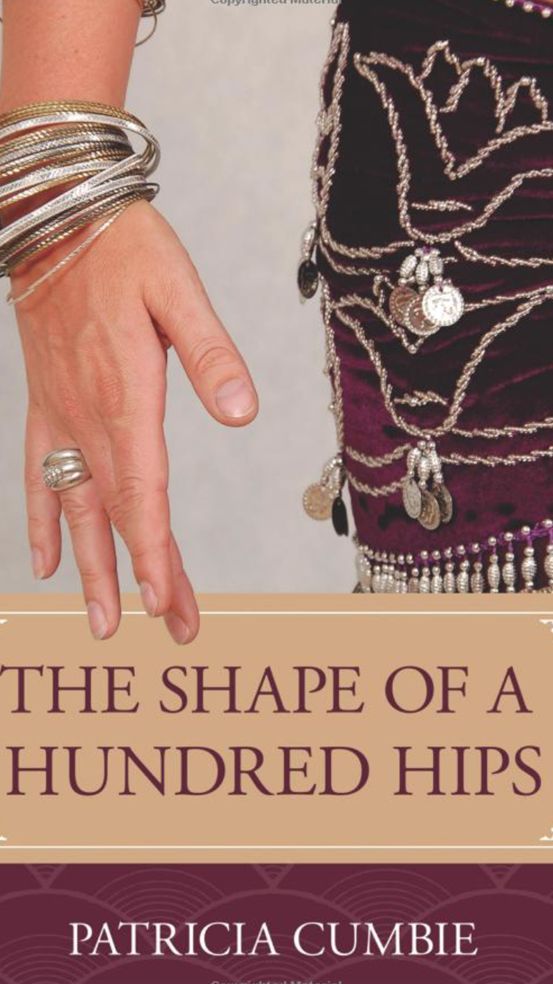 'Shape of A Hundred Hips' book cover