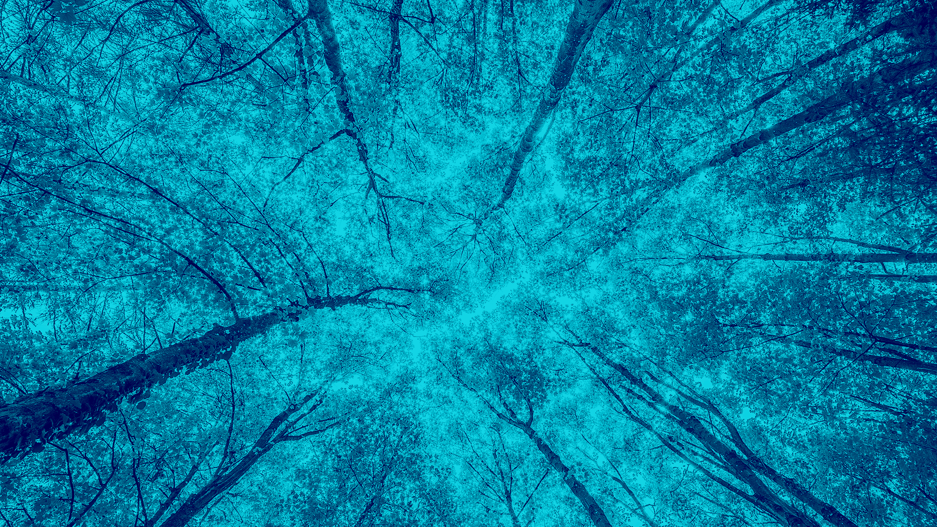 VP Education Alessio Di Vitto